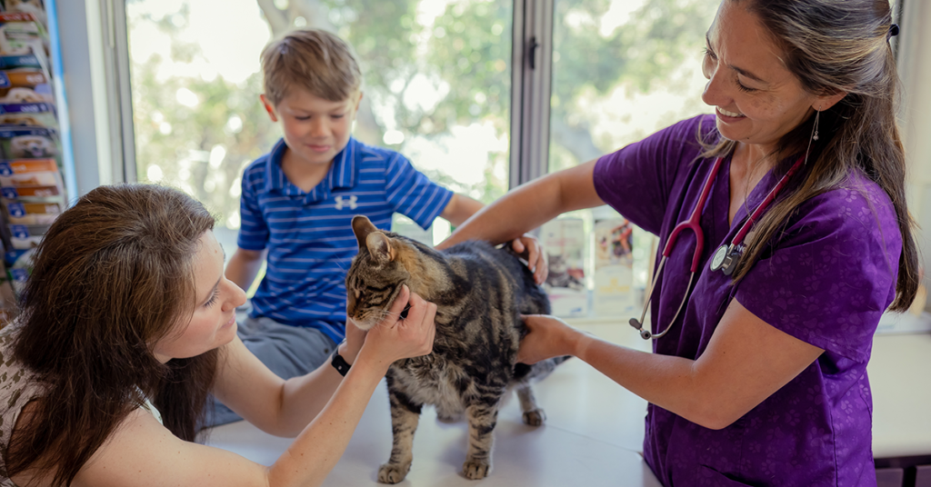 Dr. Kim with Cat